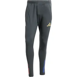 adidas Olympique Lyon Trainingshose Herren JL7707 - carbon/hazy beige M