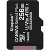 Canvas Select Plus microSD UHS-I 256 GB
