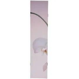 MCW Foto-Paravent Weiß, Altrosa,