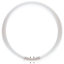 Philips Master TL5 Circular 55W/840 2GX13