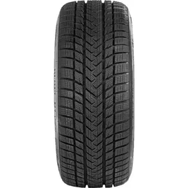 GRIPMAX Status Pro Winter 225/40 R18 92V XL