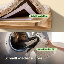 knupis Katzen Kletterwand Set mit Katzenbett & 2X Katzentreppe – Kiefernholz, Stabile Wandliege bis 30 kg – Für Spielspaß & Gemütlichkeit - Beige