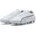 AG/FG Blau/Silber/Weiß 46