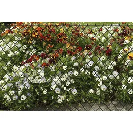garden 'n' more Maschendrahtzaun 250 x 125 cm Grau/Schwarz