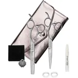 Olivia Garden Haarschneideschere SilkCut PRO Matt Silver set "5,75",MS