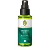 Primavera Energiekick Raumspray Bio