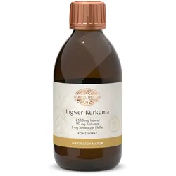 Ingwer Kurkuma Konzentrat