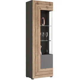 xonox.home Vitrine Freno 60 x 194 x 37 cm Grau