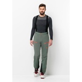 Jack Wolfskin Alpspitze Pants Men Skitouren-Hose mit RECCO® Ortungssystem Herren 46 hedge green hedge green