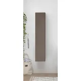Home Affaire Infinity Mehrzweckschrank 29 x 30 x 138 cm Braun
