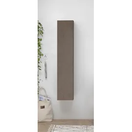 Home Affaire Infinity Mehrzweckschrank 29 x 30 x 138 cm Braun