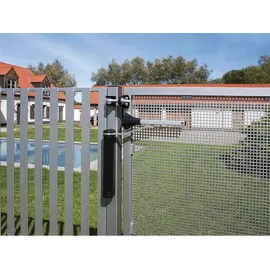 Locinox Türschließer Lion für Türen bis zu 75 kg Aluminium Silberfärbig