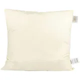 beties „PublikSoft“ Daunenkissen ca. 50x50 cm Kopfkissen Sofakissen (echte Daunen, 70%) waschbar, traditionell gefertigt kein Lebendrupf