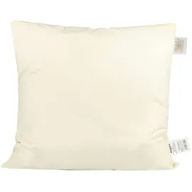beties „PublikSoft“ Daunenkissen ca. 50x50 cm Kopfkissen Sofakissen (echte Daunen, 70%) waschbar, traditionell gefertigt kein Lebendrupf