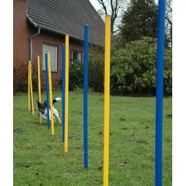 Dobar Agility Slalom Set 12-teilig