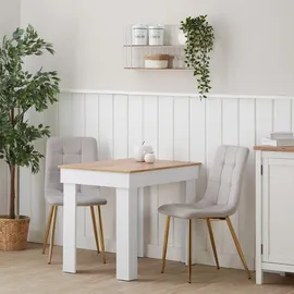 Homestyle4u Esszimmerstuhl Samt Beige/Grau 6er Set
