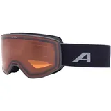 Alpina Venet Skibrille