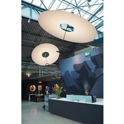 Flying Disc
