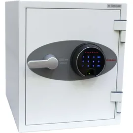 Phoenix Datacare DS2001F / NT Fire 017- S60DIS