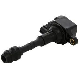 BorgWarner (Beru) BERU Zündspule ZSE079