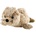 Robbe