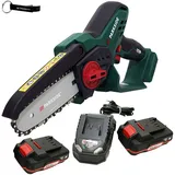 Parkside PAGHS 20 inkl. 2 x 2,0 Ah + Transportkoffer