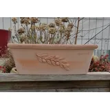 terracotta-toepfe-de Blumenkasten 50 x 20 x 20 cm Rot