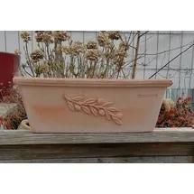terracotta-toepfe-de Blumenkasten 50 x 20 x 20 cm Rot