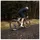 Ergon SR Allroad 152 mm Schwarz
