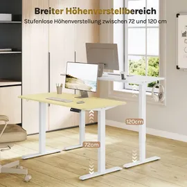 Woltu Höhenverstellbarer Schreibtisch, Computertisch mit USB-Ladeanschluss, Weiß 120x60 cm - Weiß