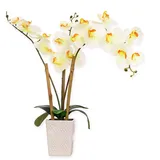 McPalms Orchidee 55 cm hoch mit Topf Weiss Kunstpflanze künstlich