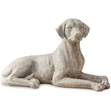 Loberon Hund Socrate, edler Deko-Jagdhund, detailreiche Tierfigur, lebensgroß & anmutig, Outdoor, Gartendekoration, Dekoobjekt, Polyresin, antikbeige