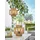 Luxform Solarleuchte braun H: 29,0 cm 1 Stk. LED-Lampe