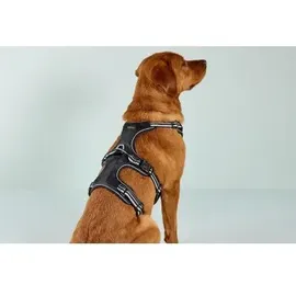 Wolters Active Pro No Escape Hundegeschirr Schwarz/Silber 80-95 cm
