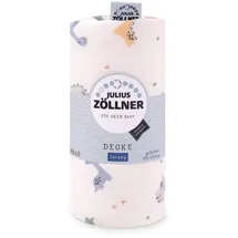 Julius Zöllner Babydecke, Julius Zöllner