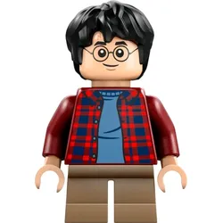 LEGO® - Harry Potter - hp481 - Harry Potter (76424)