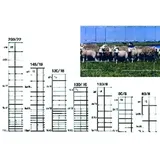 BETAFENCE Ursus Light ZAL 200/22/15 50m