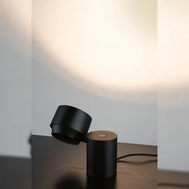 Paulmann Puric Pane Schwarz