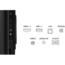 TCL 65T8C 65 Zoll QLED 4K Google TV