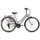 Hollandia City Next 28 Zoll RH 48 cm Damen Flieder