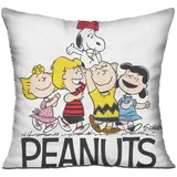Zeblaze Vibe 7 Pro BT One Size Aluminiumgehäuse Silber Sportarmband Silber