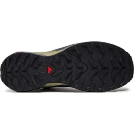 Salomon X-Adventure GTX Herren Trailrunningschuhe, blau, Größe 48 - 48