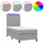 vidaXL Boxspringbett 100 x 200 cm Hellgrau