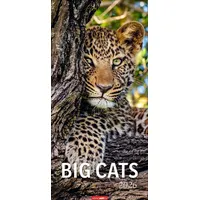 Weingarten Big Cats Kalender 2026