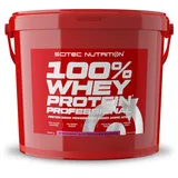 Scitec Nutrition 100% Whey Protein Professional Erdbeere-Weiße-Schokolade Pulver 5000 g