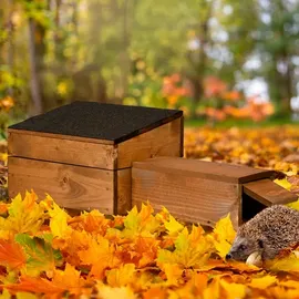Dobar dobar® Igelhaus mit schwarzem Bitumendach und Rattenklappe