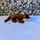 Animigos Otter Animigos Kuscheltier 33 cm