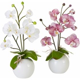 I.GE.A. Kunstpflanze »Orchidee«, lila