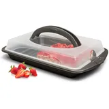 Hausfelder Kuchen Transportbox rechteckig mit Deckel, Kuchentransportbox für Blechkuchen, Kuchenbehälter groß, XXL Kuchencontainer 30 x 44 x 9 cm