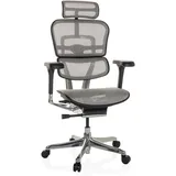 HJH Office Ergohuman GEN2 Netzstoff Hellgrau
